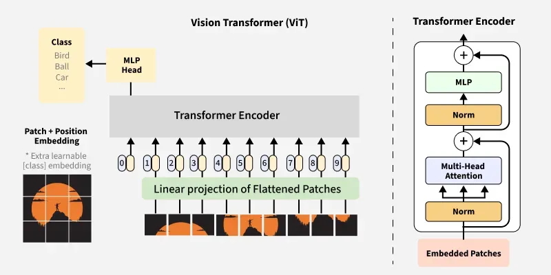 Vision Transformer Architecture